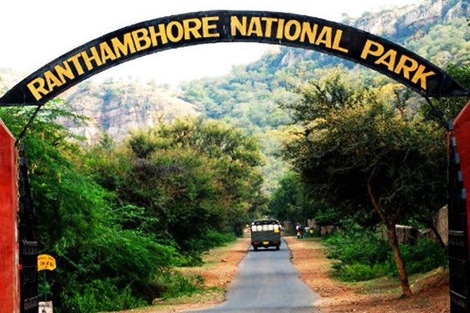 2-Days Private Ranthambhore Tiger Tour from Jaipur - Clothing, passports, and other practical points
