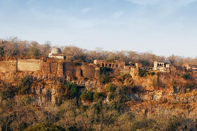2 Days Ranthambore Tiger Safari with Tickets - Why this two-day Ranthambore trip works
