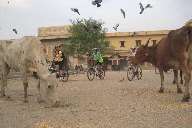3-Hour Morning Bike Tour of Jaipur - Why 6:00 am is the right time for Jaipur