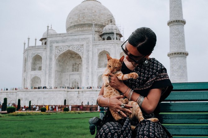 Agra Half-Day Tour of Taj Mahal and Agra Fort by Car - Starting from your hotel, station, or airport