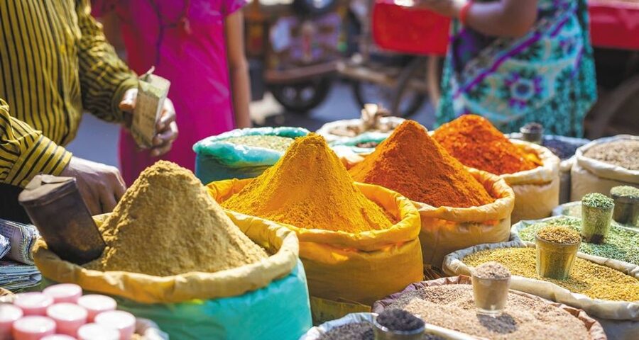 Agra: Indian Food Private Cooking Class - Is $27 a fair price in Agra?