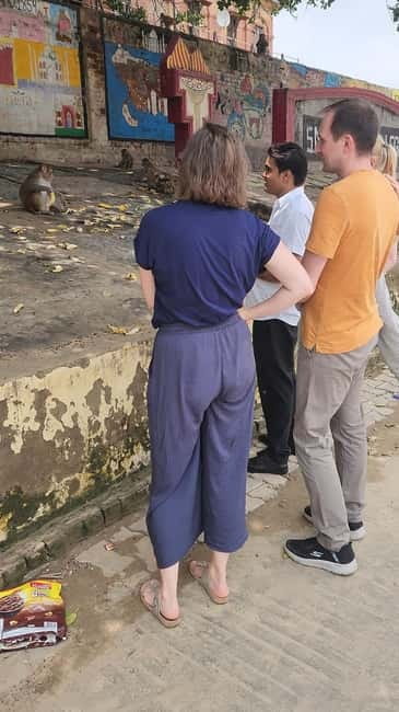 Agra: Monkey Safari Guided Walking Tour - Watching langurs and rhesus macaques safely