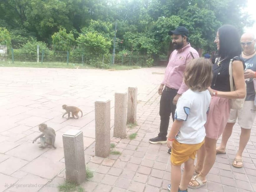 Agra: Monkey Safari Guided Walking Tour - Photography without turning the animals into props