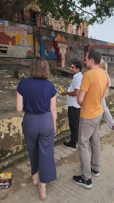 Agra: Monkey Safari Guided Walking Tour - Is the $54 price good value?
