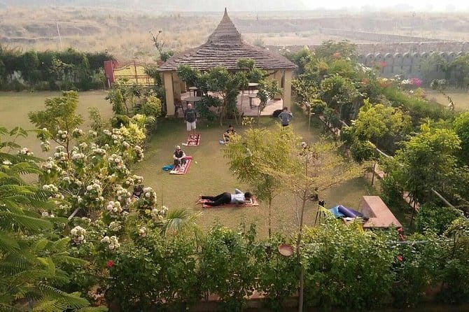 Aravali Exotic Hiking, Yoga with Breakfast - Breakfast in ancient ruins