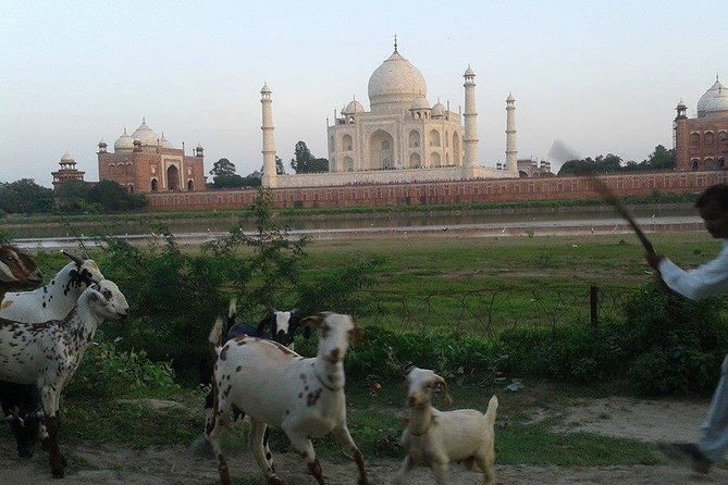 Behind the Taj Mahal with Sunrise or Sunset view by Tuk Tuk Ride - What happens during the 60 to 90 minutes