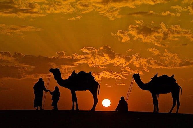 Camel Desert Safari with Sunset -The Pushkar Route - Gypsy homes and small surprises along the way