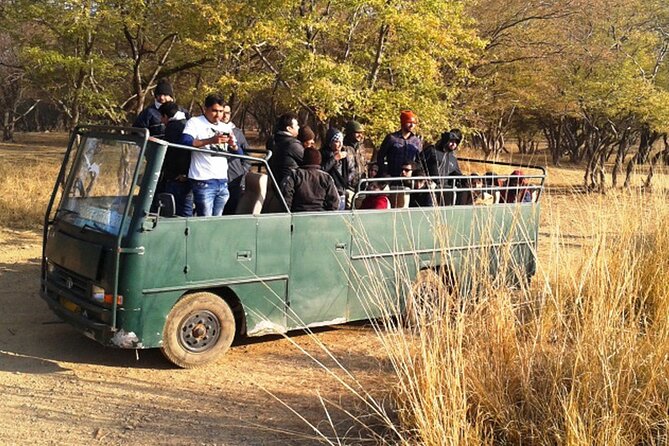 Day Trip to Ranthambore Tiger Reserve from Jaipur - The tiger question, and how to judge success