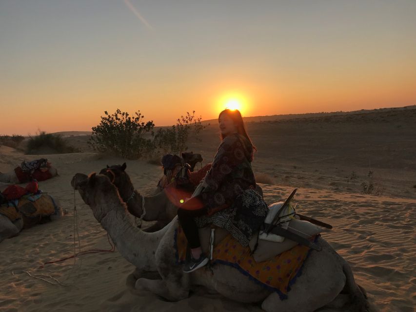 Dazzling Half Day Camel & Desert Safari With Sunset & Dinner - A sunset safari built for limited time