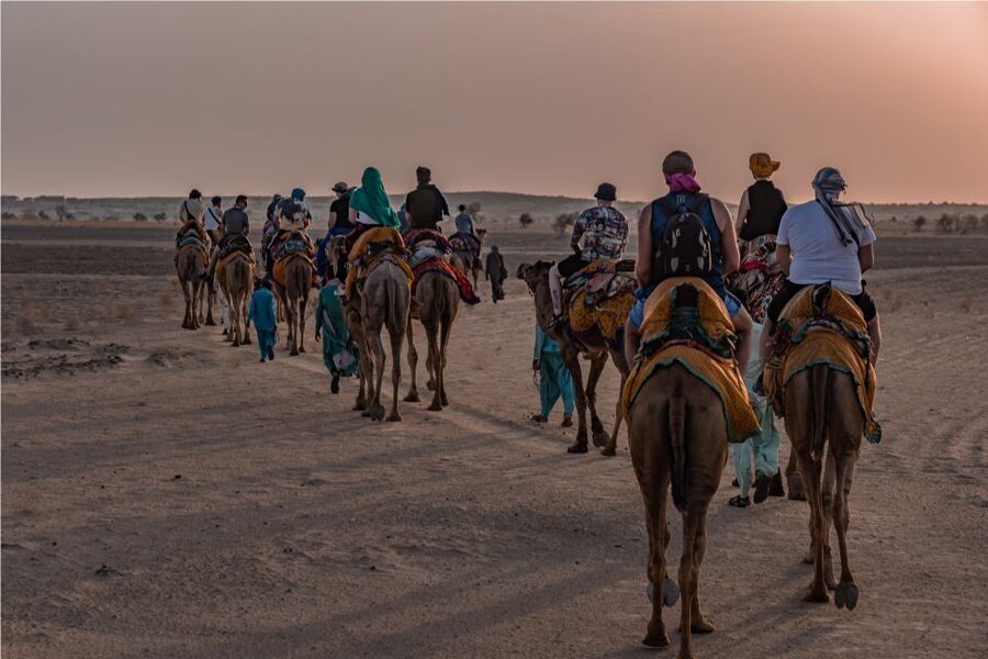 Dazzling Half Day Camel & Desert Safari With Sunset & Dinner - Should you book it?