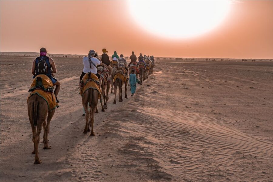 Dazzling Half Day Camel & Desert Safari With Sunset & Dinner - The Thar Desert sunset is the main event