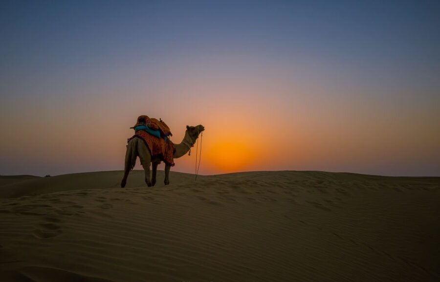 Dazzling Half Day Camel & Desert Safari With Sunset & Dinner - Returning to Jaisalmer under the night sky