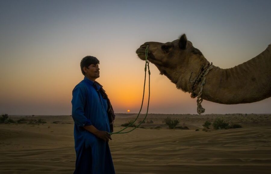 Dazzling Half Day Camel & Desert Safari With Sunset & Dinner - What Marvin adds to the outing