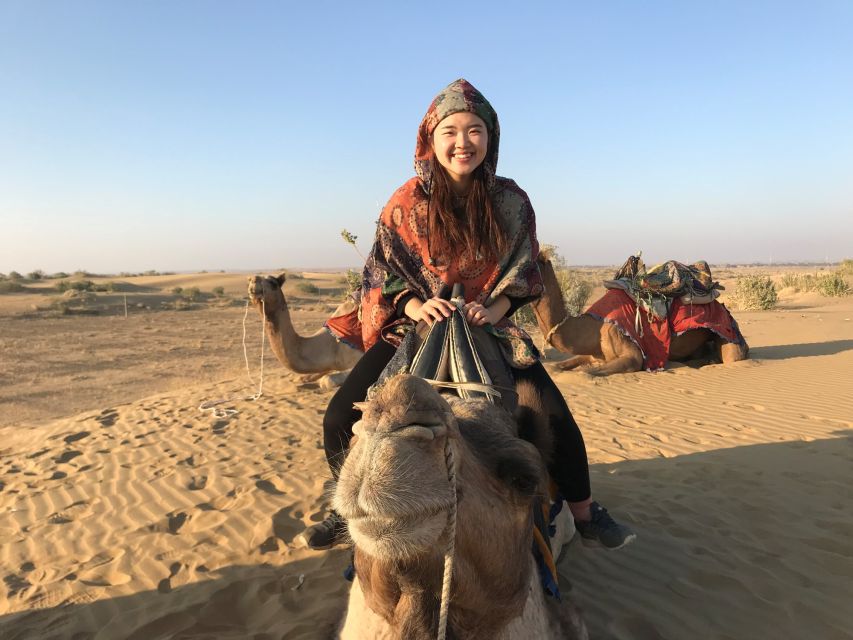 Dazzling Half Day Camel & Desert Safari With Sunset & Dinner - Is the $32 price good value?