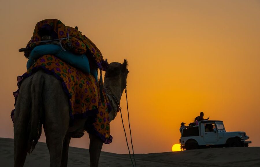 Dazzling Half Day Camel & Desert Safari With Sunset & Dinner - Who should book this camel safari?