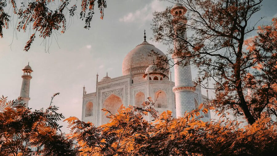 Delhi Airport to Taj Mahal Tour Instant Booking - Guides, languages, and private attention