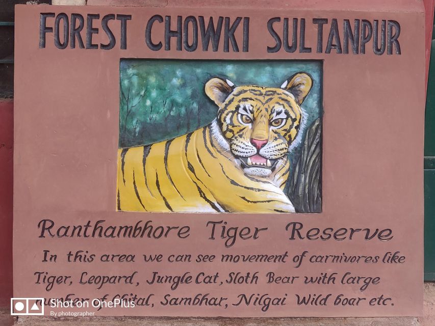 Delhi: Private 3-Days Jaipur & Ranthambore Tiger Safari Tour - Your Jaipur guide and private driver