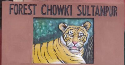 Private 3-Days Jaipur & Ranthambore Tiger Safari Tour