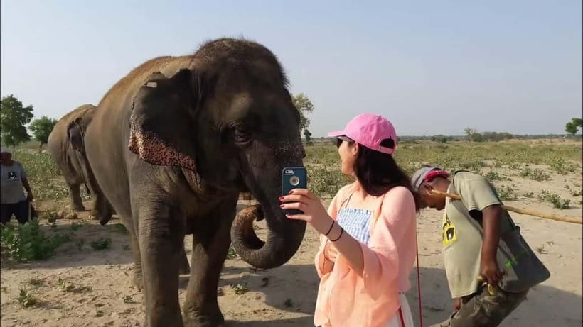 Delhi: Sunrise Taj Mahal & Elephant SOS Tour with Transfers - Who should book this Agra day?