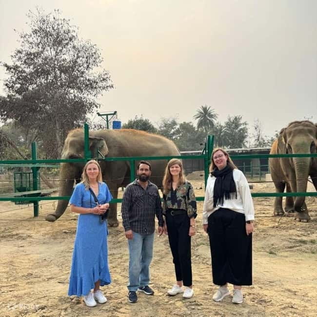 Delhi: Sunrise Taj Mahal & Elephant SOS Tour with Transfers - Leaving Delhi before dawn