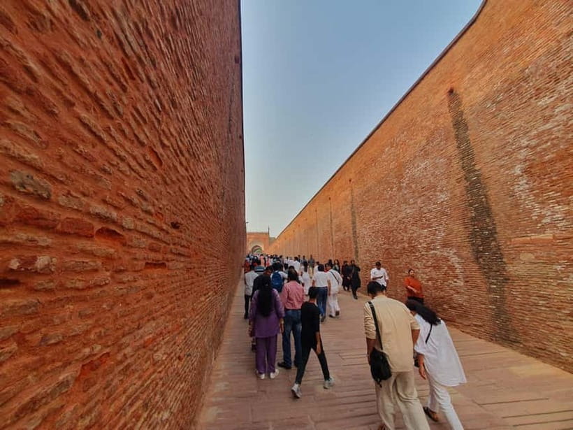 Delhi: Sunrise Taj Mahal & Elephant SOS Tour with Transfers - What the private format is worth