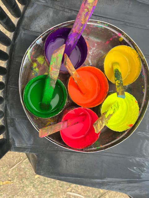 Elefun Best Elephant Sanctuary in Jaipur - Price, timing, and what you receive for $60