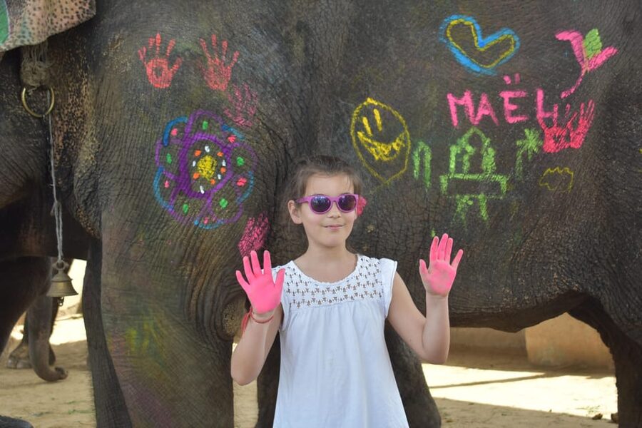 Elefun Best Elephant Sanctuary in Jaipur - Walking beside the elephant