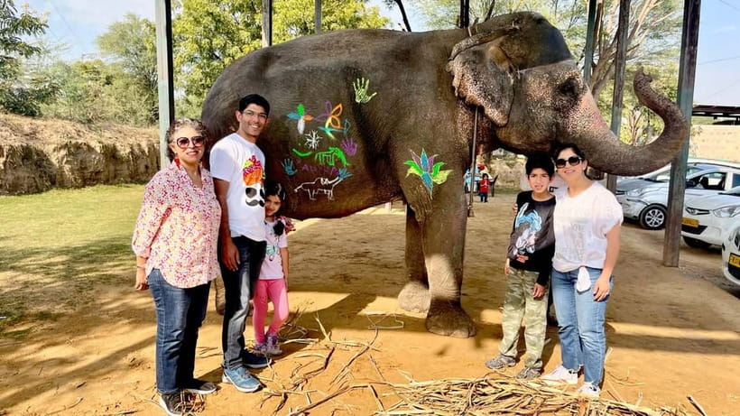 Elefun Best Elephant Sanctuary in Jaipur - The setting and the care behind it