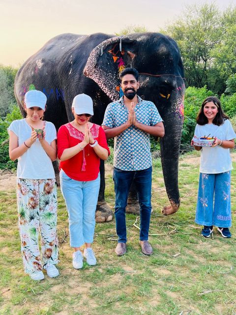 Elephant Sanctuary for Best elephant experience in Jaipur - Who should book this elephant experience?