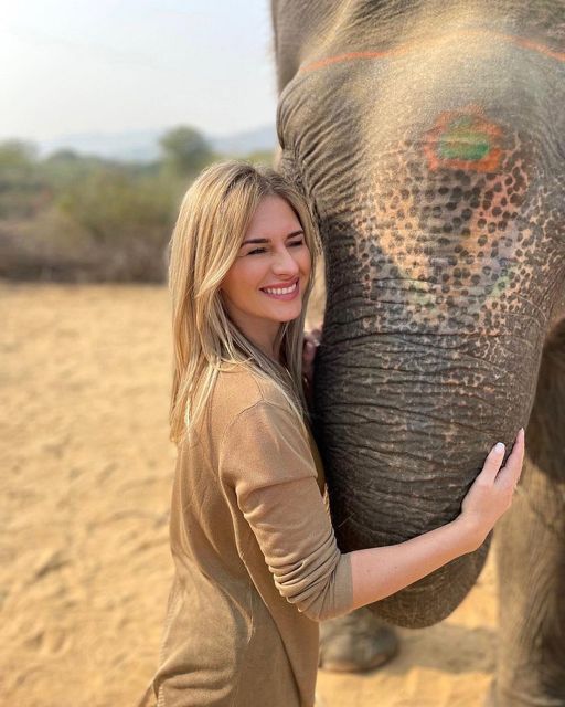 Elephant Sanctuary for Best elephant experience in Jaipur - Feeding, walking, and gentle contact