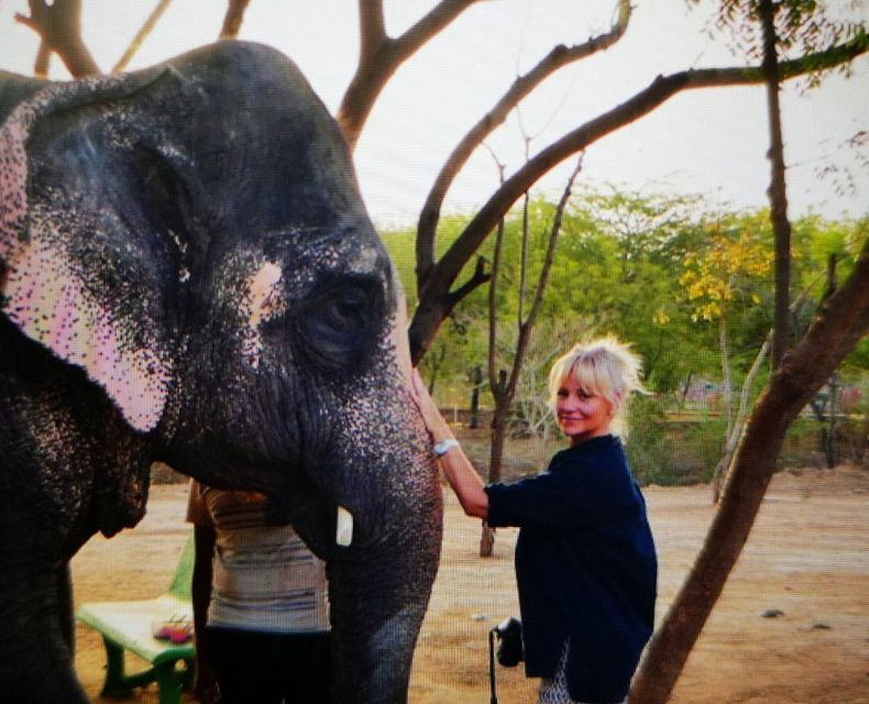 Elephant Sanctuary for Best elephant experience in Jaipur - What makes the encounter feel personal