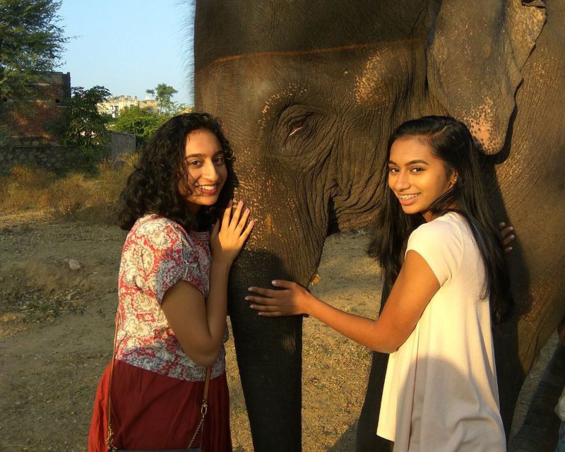 Elephant Sanctuary for Best elephant experience in Jaipur - Is $62 a fair price?
