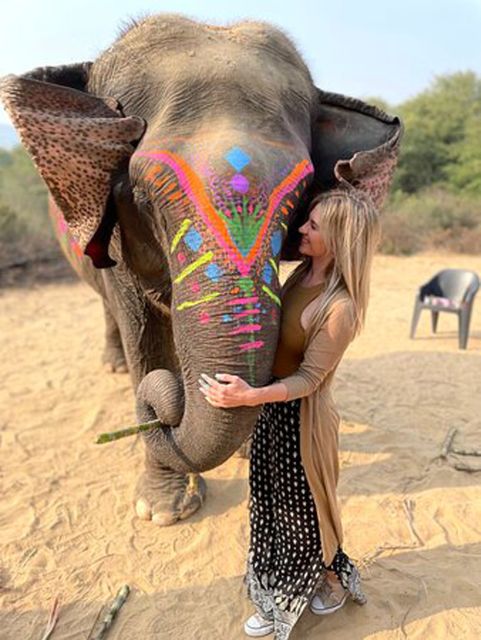 Elephant Sanctuary for Best elephant experience in Jaipur - The practical limits of the visit