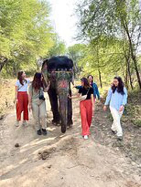 Elephant Sanctuary for Best elephant experience in Jaipur - The drive from your hotel to the sanctuary