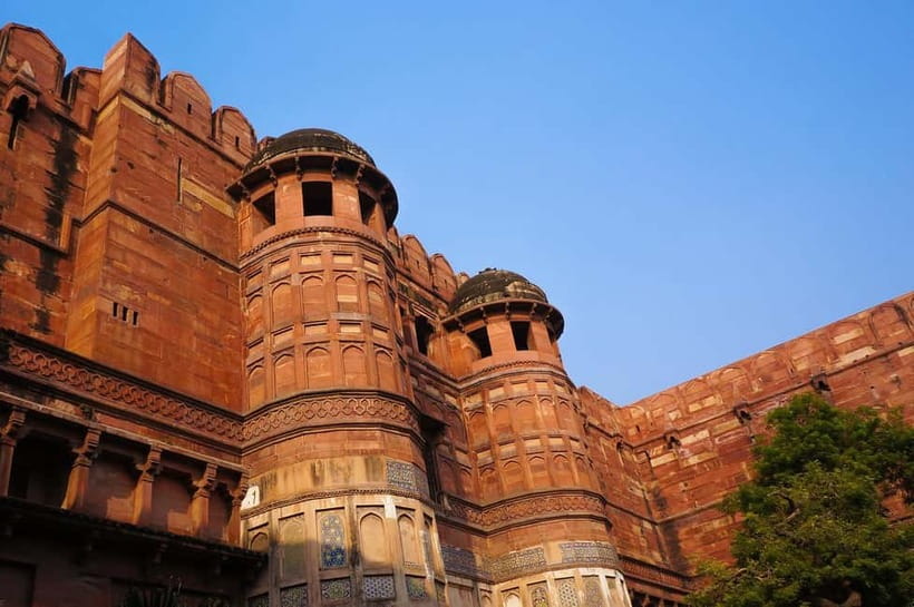 From Agra: Half Day Sunrise Tour of Taj Mahal with Agra Fort - Who should book this half-day tour