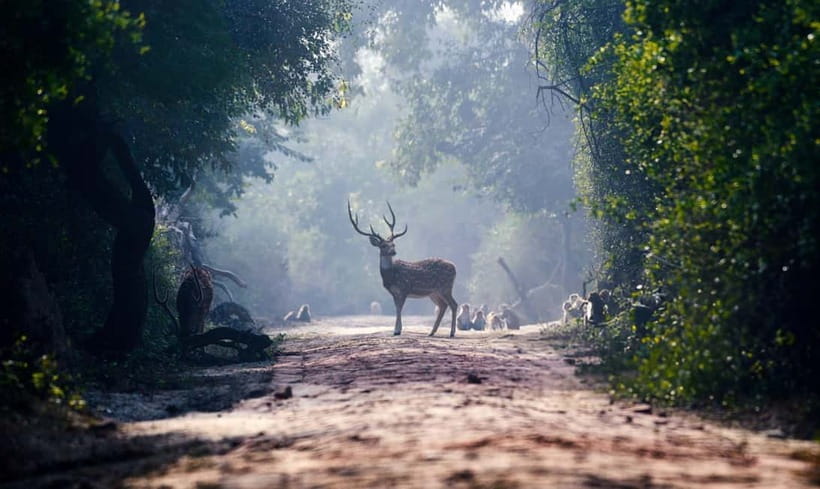 From Agra: Taj Mahal, Fatehpur Sikri & Bird Safari Tour - Why this three-stop day works