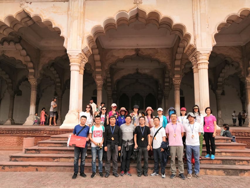 From Agra: Taj Mahal Tour w/ Elephant Conservation - Meeting rescued elephants at Wildlife SOS