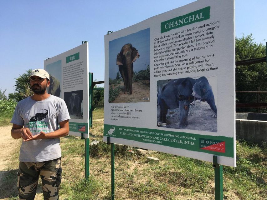 From Agra: Visit to Wildlife SOS Elephant Conservation Trip - Why this is one of Agra’s most worthwhile side trips