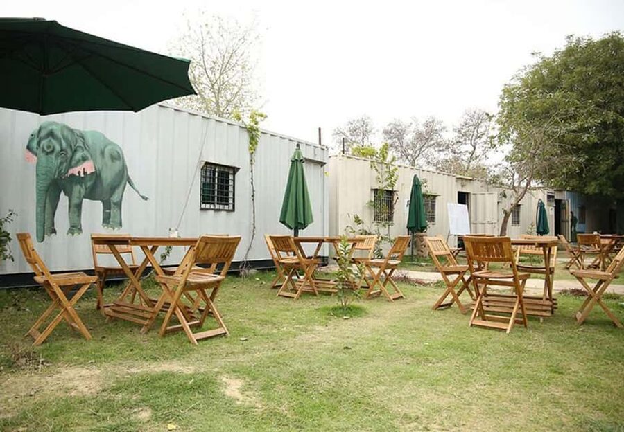 From Delhi: 1-day trip Mathura with Elephant conservation - The long road from Delhi