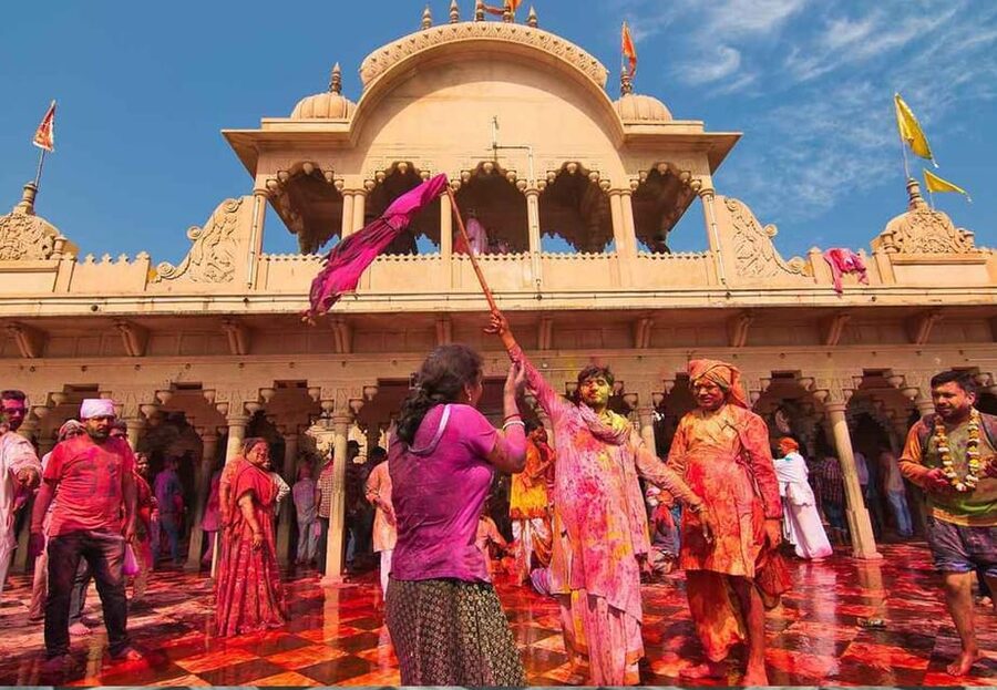 From Delhi: 1-day trip Mathura with Elephant conservation - Who should choose this experience?