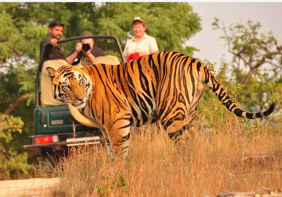 From Delhi: 6-Day Golden Triangle Tour with Ranthambore - Day 2: Sunrise at the Taj Mahal and Agra Fort