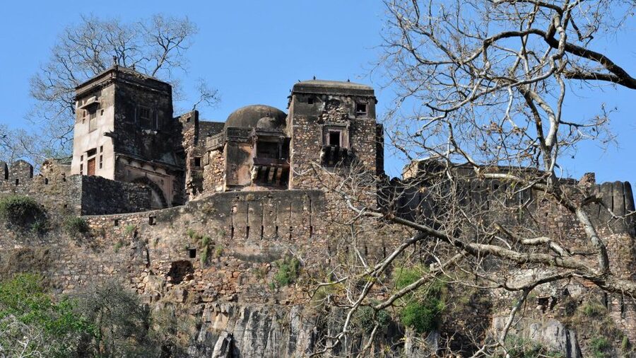From Delhi: 6-Day Golden Triangle Tour with Ranthambore - What the $183 price really means
