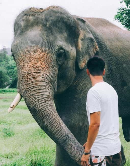From Delhi: Sunrise Taj Mahal & visit Elephant Conservation - Wildlife SOS brings an ethical purpose to the day