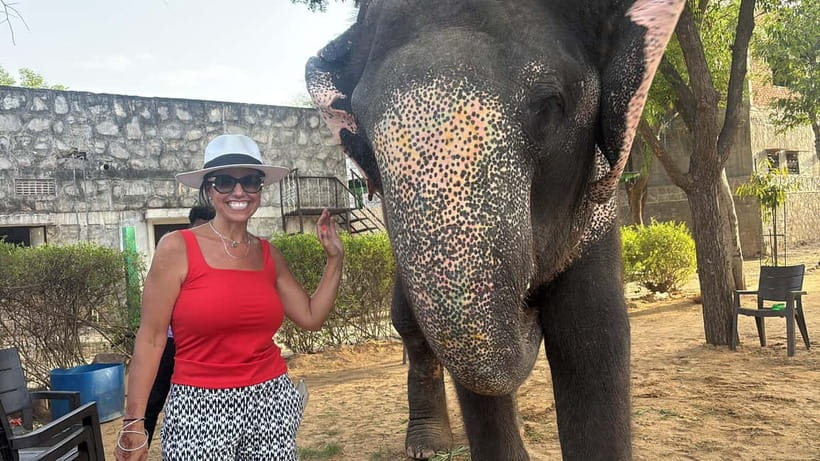 From Delhi: Taj Mahal Sunrise and Elephant Conservation Tour - The Three to Four Hour Ride From Delhi