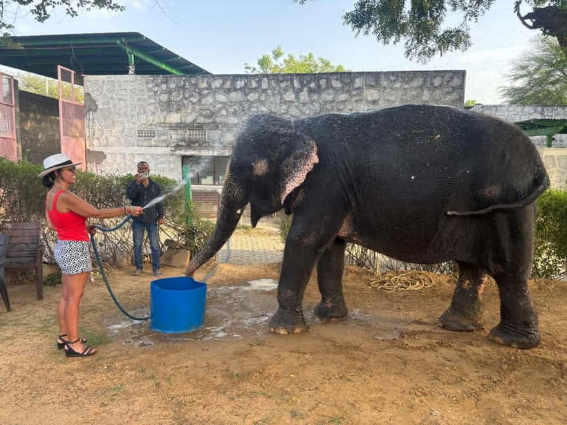 From Delhi: Taj Mahal Sunrise and Elephant Conservation Tour - Breakfast at the DoubleTree by Hilton Hotel Agra