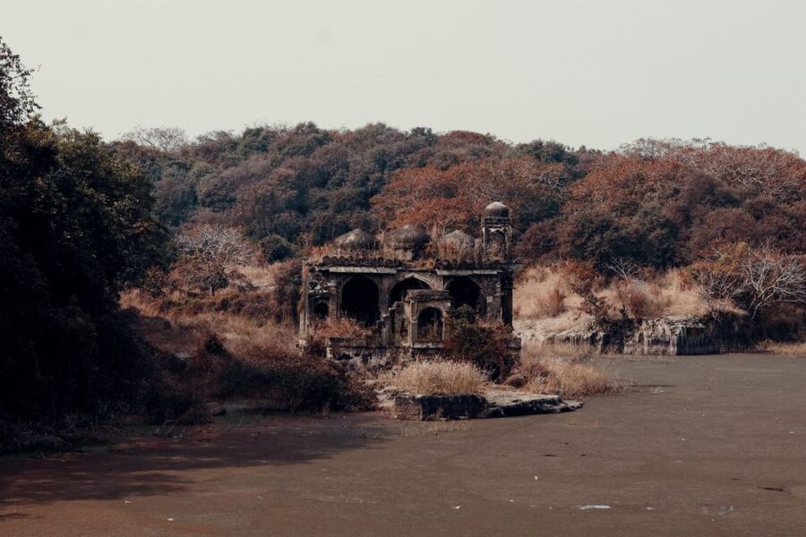 From Jaipur: 2 Days 1 Night Ranthambore Tiger Safari Tour - Hotel choice: comfort or economy