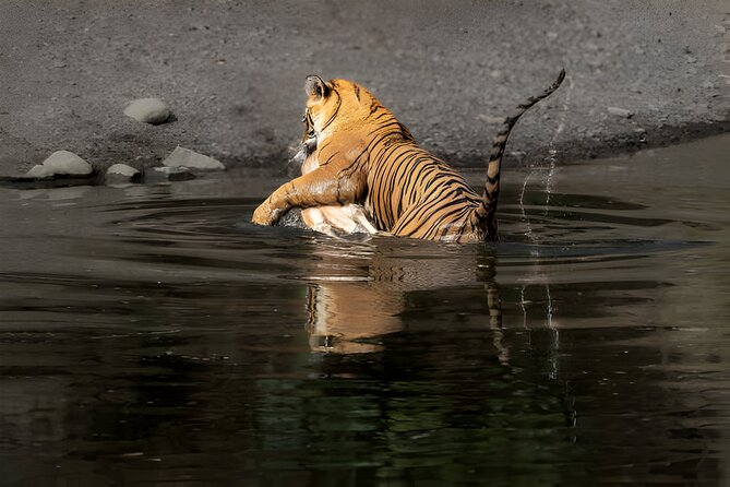 From Jaipur: 2 Days Private Tour of Ranthanbore Tigers Safari - The three-hour drive from Jaipur