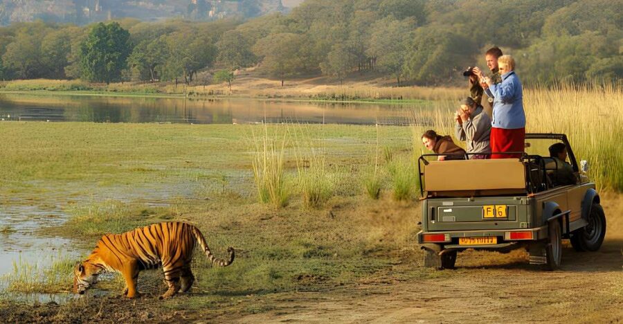 From Jaipur : 2 Days Ranthambore Tiger Safari Tour By Car - The hotel matters more than it first appears