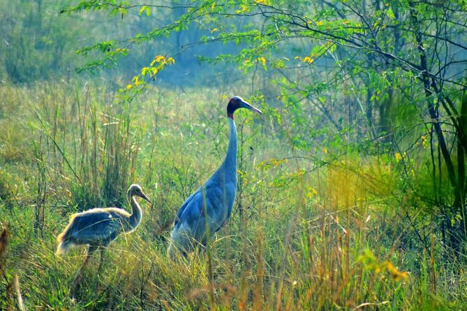 From Jaipur: Bird Safari and Agra sightseeing All-Inclusive - Why this route works better than a simple Jaipur to Agra transfer