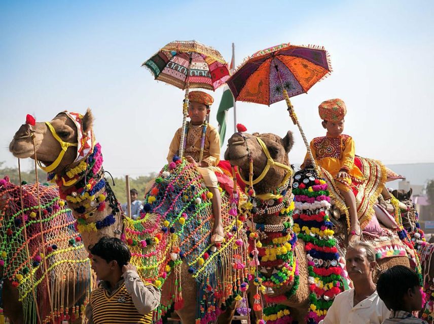From Jaipur: One-Day Trip From Jaipur to Pushkar - Key points at a glance